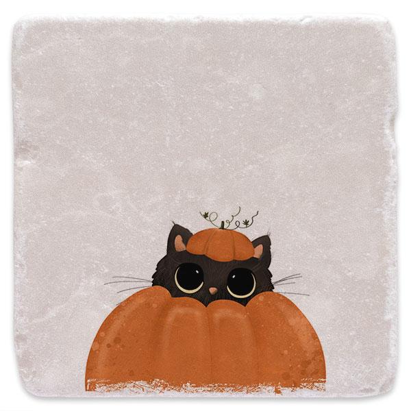 Pumpkin cat